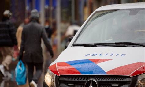 Pilfered palm tree leads Dutch police to arrest Belgian fugitive who has 18-year sentence to serve